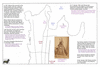 sea77 bis14a  sydney_thumb.gif
